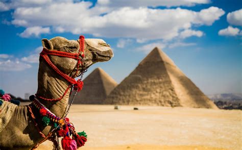 Egypt Holidays .